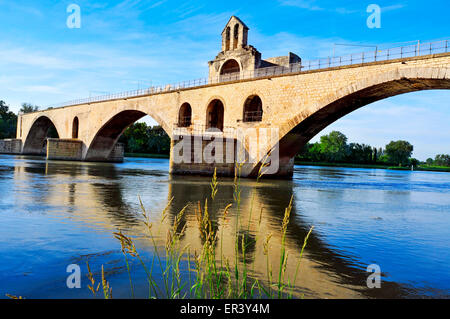 Une vue sur le Pont Saint-Bénezet ou pont d'Avignon pont, en Avignon, France, sur le Rhône Banque D'Images