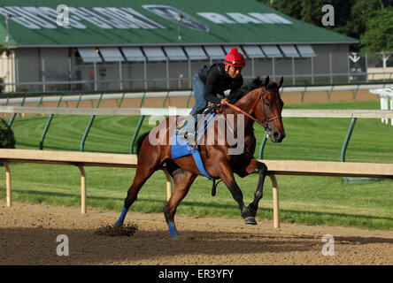 Louisville, Kentucky, USA. 26 mai, 2015. 26 mai 2015 American Pharoah (monté par Martin Garcia) ont traversé quatre stades de:48, la 5e plus rapide de 22 œuvres qui matin. Ses courtes sont:12.2,:24.0,:35,8, avec 4F de:48 à plat. Il galopa 5 furlongs en 1:00.4 et 6 furlongs en 1:13.2. Il s'envole pour New York le 2 juin. Credit : Mary M. Meek/ESW/CSM/Alamy Live News Banque D'Images