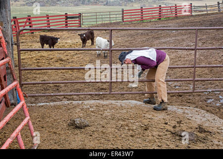 Virginia Dale, Colorado - l'abbaye de St Walburga, où les moniales dominicaines prient et exécuter un ranch de bétail. Banque D'Images