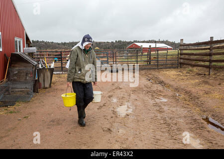 Virginia Dale, Colorado - l'abbaye de St Walburga, où les moniales dominicaines prient et exécuter un ranch de bétail. Banque D'Images