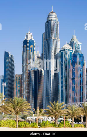 Vue verticale de gratte-ciel et de palmiers à Dubaï. Émirats arabes unis Banque D'Images