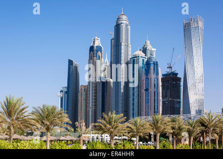 Gratte-ciel et de palmiers à Dubaï. Émirats arabes unis Banque D'Images