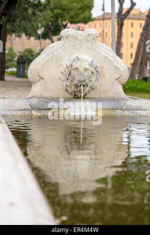 La fontaine du lion, près de l'église Santa Maria in Cosmedin, à Rome (Italie) Banque D'Images