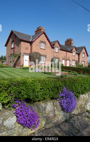 Village de Aldford, Angleterre. Printemps pittoresque vue d'une succession d'Eaton house gérés sur Aldford's School Lane. Banque D'Images