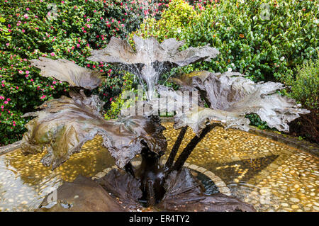 Fontaine de la Gunnera manicata Trebah gardens près de Falmouth en Cornouailles, Angleterre. Banque D'Images