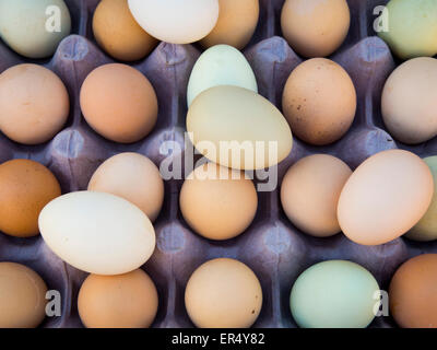 Farm Fresh naturelles colorés oeufs de poule dans une caisse. Banque D'Images