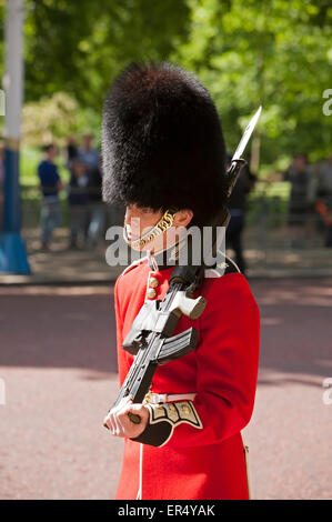 Westminster, London, UK. 27 mai, 2015. Le dirigeant d'une garde au cours de l'État ouverture du Parlement à Londres. Credit : Keith Larby/Alamy Live News Banque D'Images