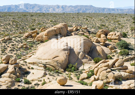 Paysage du désert de Mojave, Souther California, USA. Banque D'Images