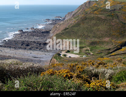 Welcombe bouche beach, Devon, UK Banque D'Images