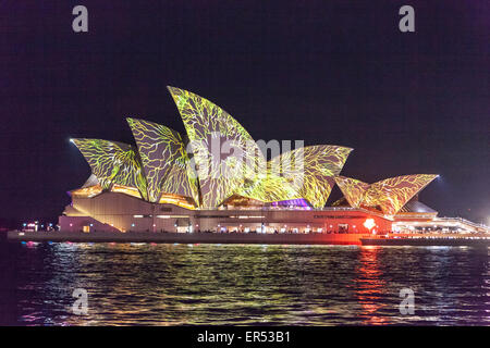 Sydney, Australie. 25 mai, 2015. crédit : stephane combre/Alamy live news Banque D'Images