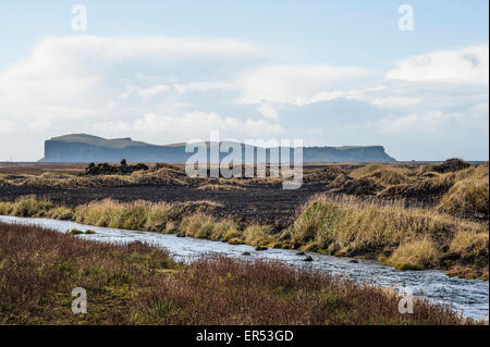 L'Islande, côte sud près de Vik. Banque D'Images