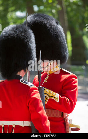 Westminster,UK,27 mai 2015, deux gardes en service au centre commercial de l'État ouverture du Parlement dans Londo Crédit : Keith Larby/Alamy Live News Banque D'Images