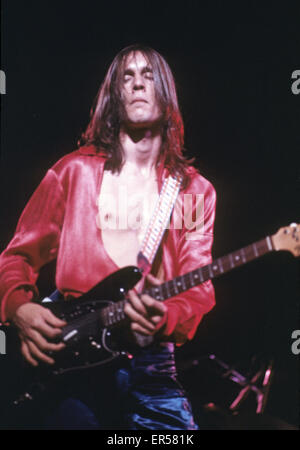 Musicien rock américain Todd Rundgren en 1975 Banque D'Images