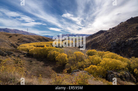 Les arbres d'or suivez le chemin d'une rivière dans l'île Sud de la Nouvelle-Zélande au cours de l'automne ou à l'automne Banque D'Images