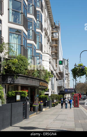 L'hôtel Athenaeum, Piccadilly, Mayfair, City of Westminster, London, England, United Kingdom Banque D'Images