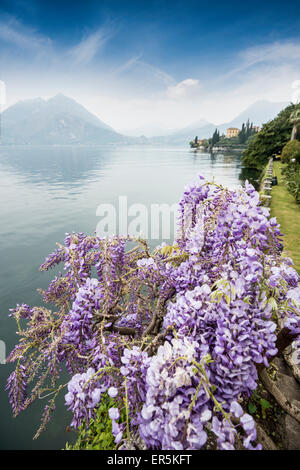 Les jardins de Villa Monastero, Varenna, Lac de Côme, Lago di Como, province de Lecco, Lombardie, Italie Banque D'Images