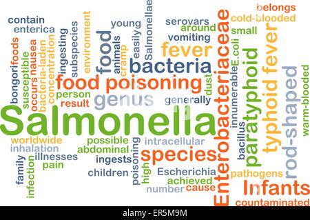 Concept d'arrière-plan wordcloud illustration de Salmonella Banque D'Images