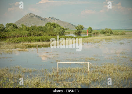 Terrain de football de inondés Virpazar, parc national du lac de Skadar, le Monténégro, l'Ouest des Balkans, de l'Europe Banque D'Images