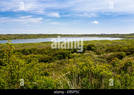 L'île de Juist, lac, Marteau, Nationalpark, Mer du Nord, îles de la Frise orientale, Frise orientale, Basse-Saxe, Allemagne, Europe Banque D'Images