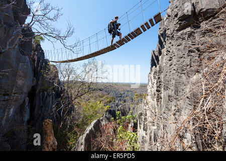 Pont suspendu de Tsingy-de-Parc National de Bemaraha, Mahajanga, Madagascar, Afrique Banque D'Images