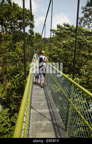 Balades en famille le long d'une promenade sur la Cime des arbres de la HSBC, MacRitchie Reservat, Singapour Banque D'Images