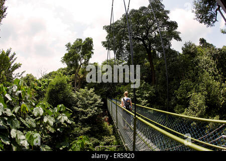 Mère exerçant son fils le long d'une promenade sur la Cime des arbres de la HSBC, MacRitchie Reservat, Singapour Banque D'Images