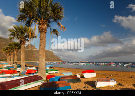 Plage avec des palmiers et des bateaux de pêche, Playa de Las Teresitas, près de San Andres, Las Montanas de Anaga, réserve naturelle, Parqu Banque D'Images