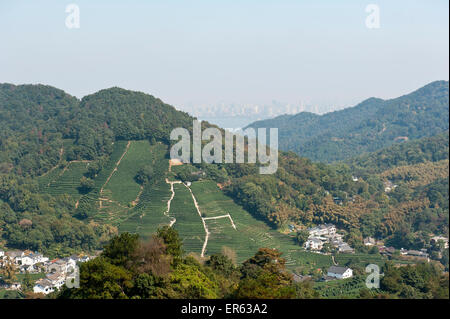 La plantation de thé Longjing, Village, sur l'horizon dans la brume la ville de Hangzhou et le lac de l'Ouest, dans la province du Zhejiang, Chine Banque D'Images
