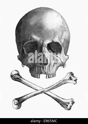 Le Jolly Roger est le nom donné à l'un des différents drapeaux déployés pour identifier l'équipage d'un navire de pirates. Le drapeau le plus souvent identifié comme le Jolly Roger est aujourd'hui la tête de mort, d'être un drapeau composé d'un crâne au-dessus de deux os longs situé dans un Banque D'Images