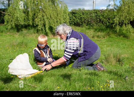 Hay Festival, Powys, Wales - Mai 2015 - Jour 8 - RSPB Jardin Sauvage Safari pour jeunes enfants au Festival. Jeune garçon enfant la chasse aux bogues au Hay Festival à 10h du matin. Banque D'Images