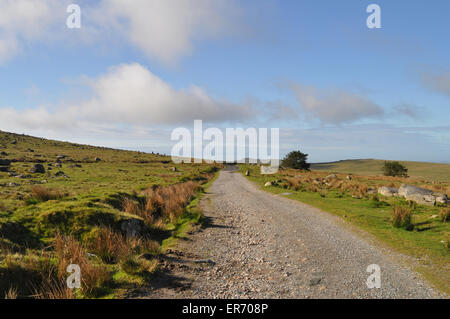 La voie menant à yellowmeade farm, près de Princetown, Dartmoor National Park, Devon, Angleterre Banque D'Images