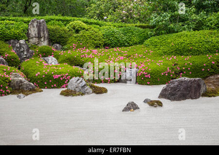 Le karesansui jardin zen de sable ratissée, des rochers et des plantes en jardin Temple Meigetsuin Banque D'Images