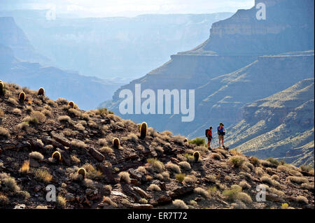 Les randonneurs suivent un itinéraire le long de la rivière Colorado qui relient Tapeats Creek et de la rivière Thunder à Deer Creek dans le Grand Canyon en dehors de Fredonia, Arizona Novembre 2011. Banque D'Images