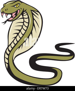 Illustration d'un cobra serpent serpent viper avec langue d'attaquer depuis le côté isolé sur fond blanc fait dans un style de dessin animé. Banque D'Images