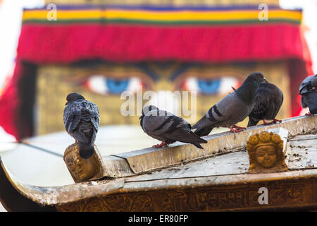 Pigeons et stupa Boudhanath en arrière-plan - symbole du Népal. Banque D'Images