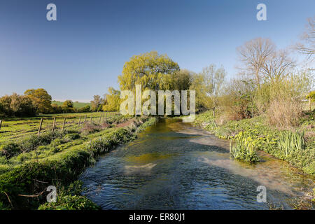 Test de la rivière entre l'Quidhampton Polhamton et, Overton, New Hamsphire, England, UK. Banque D'Images