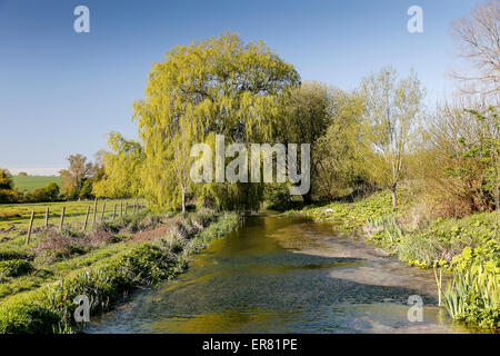 Test de la rivière entre l'Quidhampton Polhamton et, Overton, New Hamsphire, England, UK. Banque D'Images