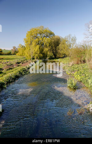 Test de la rivière entre l'Quidhampton Polhamton et, Overton, New Hamsphire, England, UK. Banque D'Images