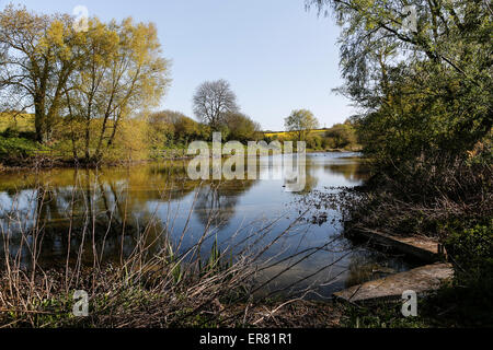 Test de la rivière entre l'Quidhampton Polhamton et, Overton, New Hamsphire, England, UK. Banque D'Images