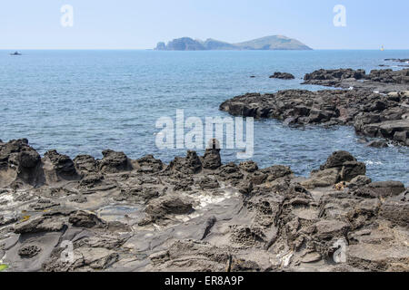 Paysage avec Chagwido et les roches volcaniques de l'île étrange, vue de Olle 12 corse dans l'île de Jéju, en Corée. Banque D'Images