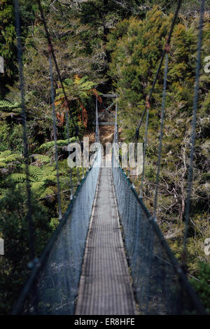 Pont suspendu dans l'Abel Tasman national park, New Zealand Banque D'Images