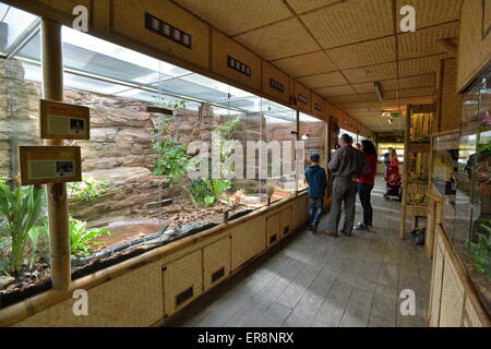 Zoo de Plzen, République tchèque. 29 mai, 2015. L'exposition de la plupart des serpents venimeux cobras - appelé royaume de poison dans le zoo de Plzen, République tchèque, le 29 mai 2015. (Photo/CTK Pavel Nemecek) Credit : CTK/Alamy Live News Banque D'Images