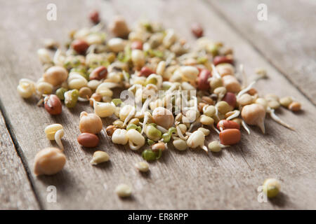 Close-up de divers germes de haricots sur la table Banque D'Images