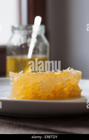 La plaque en nid d'par jar sur le tableau à la maison Banque D'Images