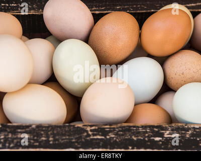 Les Œufs d'élevage biologique multicolores dans des caisses en bois Banque D'Images