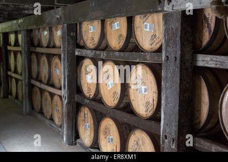 Frankfort, Kentucky - barils de bourbon le vieillissement dans un entrepôt à la distillerie de Buffalo Trace. Banque D'Images