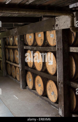 Frankfort, Kentucky - barils de bourbon le vieillissement dans un entrepôt à la distillerie de Buffalo Trace. Banque D'Images