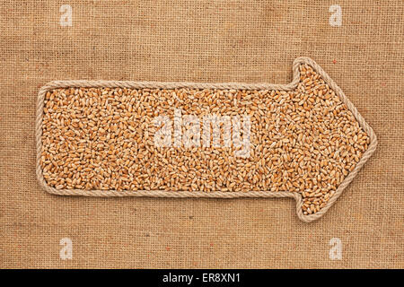 Fait à partir de pointeur avec corde de blé céréales se coucher sur le sac, avec l'espace pour votre texte Banque D'Images