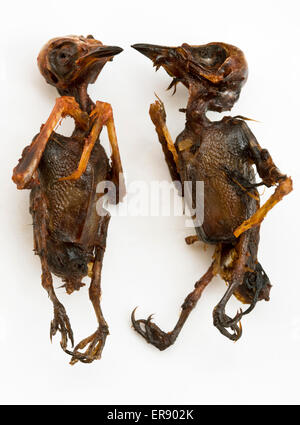 Deep Fried Song Birds vendus sur le marché de la nourriture de rue au Cambodge - un exemple de la nourriture étrange ou bizarre mangée par les gens du monde entier Banque D'Images