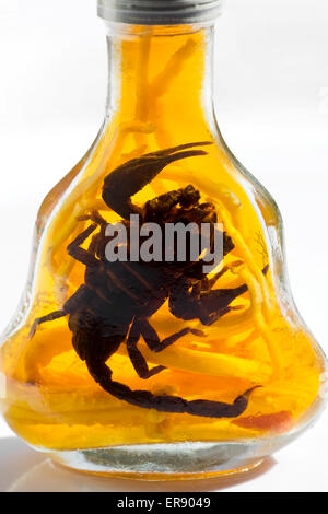 Bottlle of Scorpion Whisky Spirit Liquor - un exemple de la nourriture étrange ou bizarre mangée par les gens du monde entier Banque D'Images